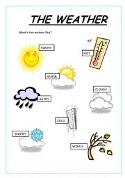 English Worksheet: the weather