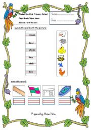 English Worksheet: mixed skills worksheet