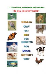 English worksheet: Animal Worksheet