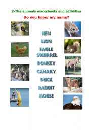 English worksheet: animals worksheet