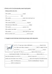 Passive Voice(Present Simple & Past Simple)