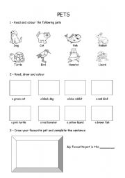 English Worksheet: Pets