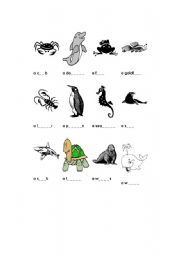 English worksheet: Sea Animals