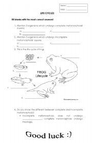 English worksheet: Lifecycle