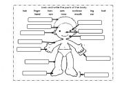 English Worksheet: Parts of the body