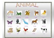 English worksheet: ANIMAL