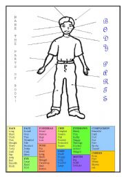 English Worksheet: Body parts