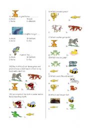 English worksheet: animals quiz(part 2)