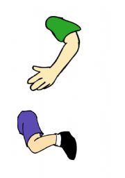 English Worksheet: bodyparts