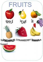 English worksheet: FRUITS