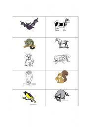 English worksheet: nocturnal/daytime animals to cut and sort