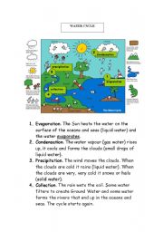 English Worksheet: The Earth Water cycle