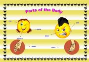 English Worksheet: Parts of the body