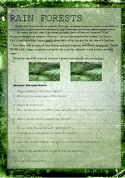 English Worksheet: rain forests