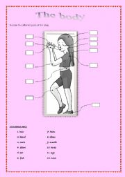 English worksheet: The body