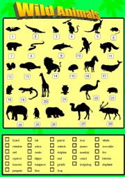 English Worksheet: WILD ANIMALS