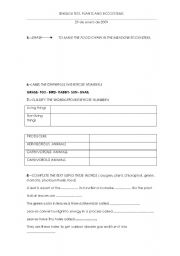 English Worksheet: jobs and professions