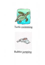 English Worksheet: Animal and People Actions