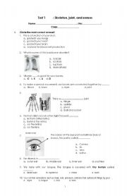 English worksheet: skeleton, joint, senses