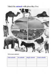 English Worksheet: Animals Quiz