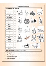 Vocabulary Matching Worksheet - PETS