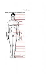 English Worksheet: Parts of the Body