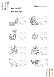 English worksheet: Animals