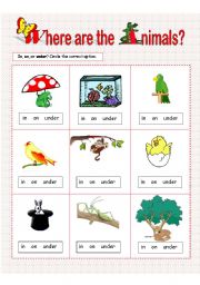 English Worksheet: Prepositions of Place: in, on, under