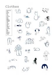 English Worksheet: Clothes Vocabulary Exercise