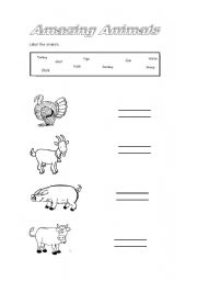 English worksheet: Amazing animals
