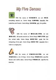 English Worksheet: My Five Senses