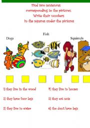 English worksheet: Animals