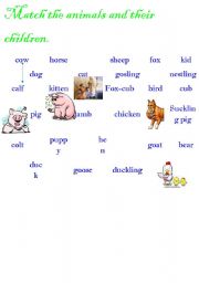 English worksheet: Animals and their children
