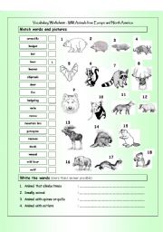 Vocabulary Matching Worksheet - Wild Animals from Europe & North America