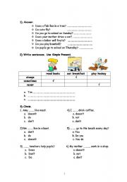 English worksheet: Simple Present