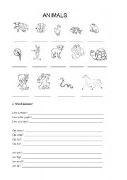 English worksheet: animals