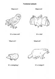 English worksheet: nocturnal animals