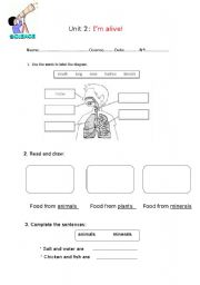 English worksheet: Im alive review