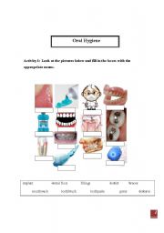 English Worksheet: Oral Hygiene (teeth)