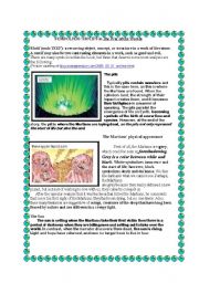 English Worksheet: Symbolism and Motifs in The War of the Worlds