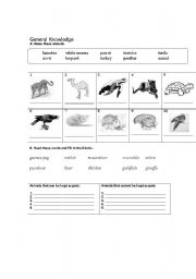 English worksheet: General Knowledge - Animal