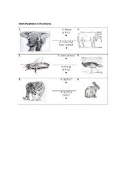 English worksheet: Match the animals