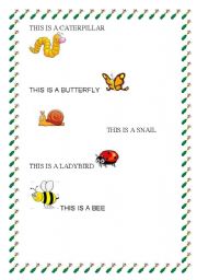 English Worksheet: MY BUGS