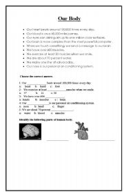 English worksheet: our body
