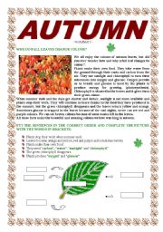 English Worksheet: AUTUMN