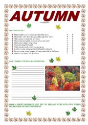 English Worksheet: AUTUMN