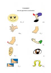 English Worksheet: body parts