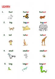 English Worksheet: Learn to compare
