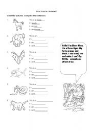 English Worksheet: Describing animals