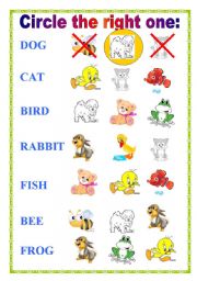 English Worksheet: ANIMALS